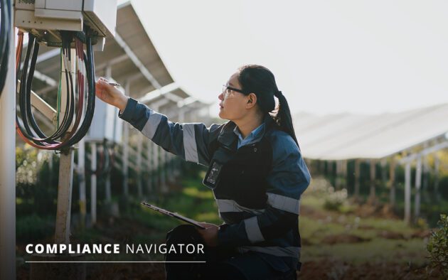Woman examining solar panels in the field